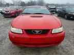1999 FORD MUSTANG