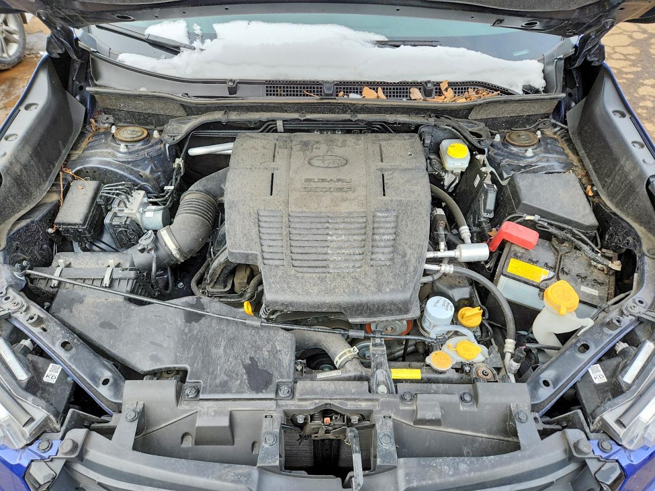 2023 SUBARU FORESTER