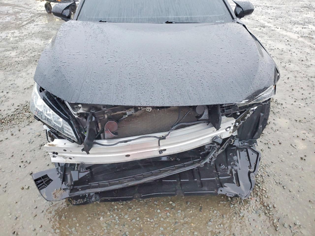 2019 TOYOTA Avalon