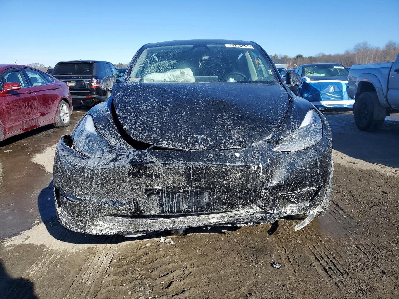 2025 TESLA MODEL Y