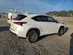 2019 LEXUS NX 300H