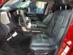 2024 TOYOTA Sequoia