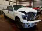 2013 FORD F-150 Lightning