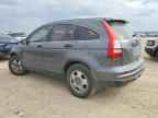 2010 HONDA CR-V