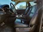 2013 CHEVROLET Avalanche