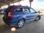 2009 HONDA CR-V