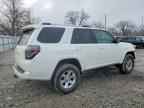 2019 TOYOTA 4Runner