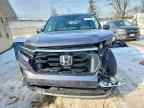 2023 HONDA PILOT