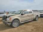 2014 FORD F-150 Lightning