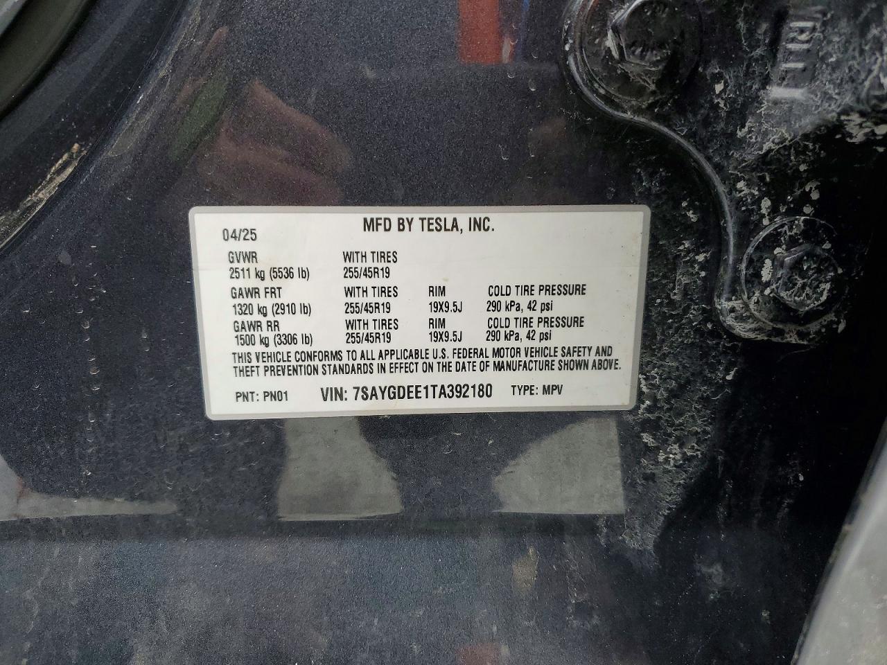 2026 TESLA MODEL Y