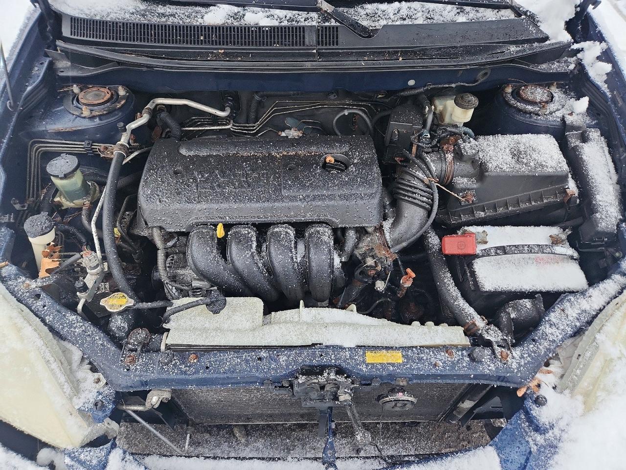2006 TOYOTA COROLLA