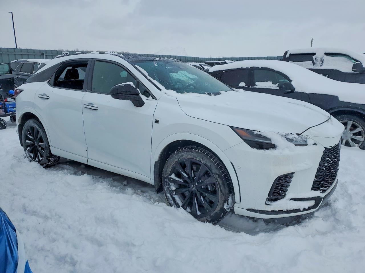 2023 LEXUS RX 500H