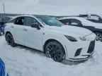 2023 LEXUS RX 500H