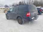 2010 FORD Expedition