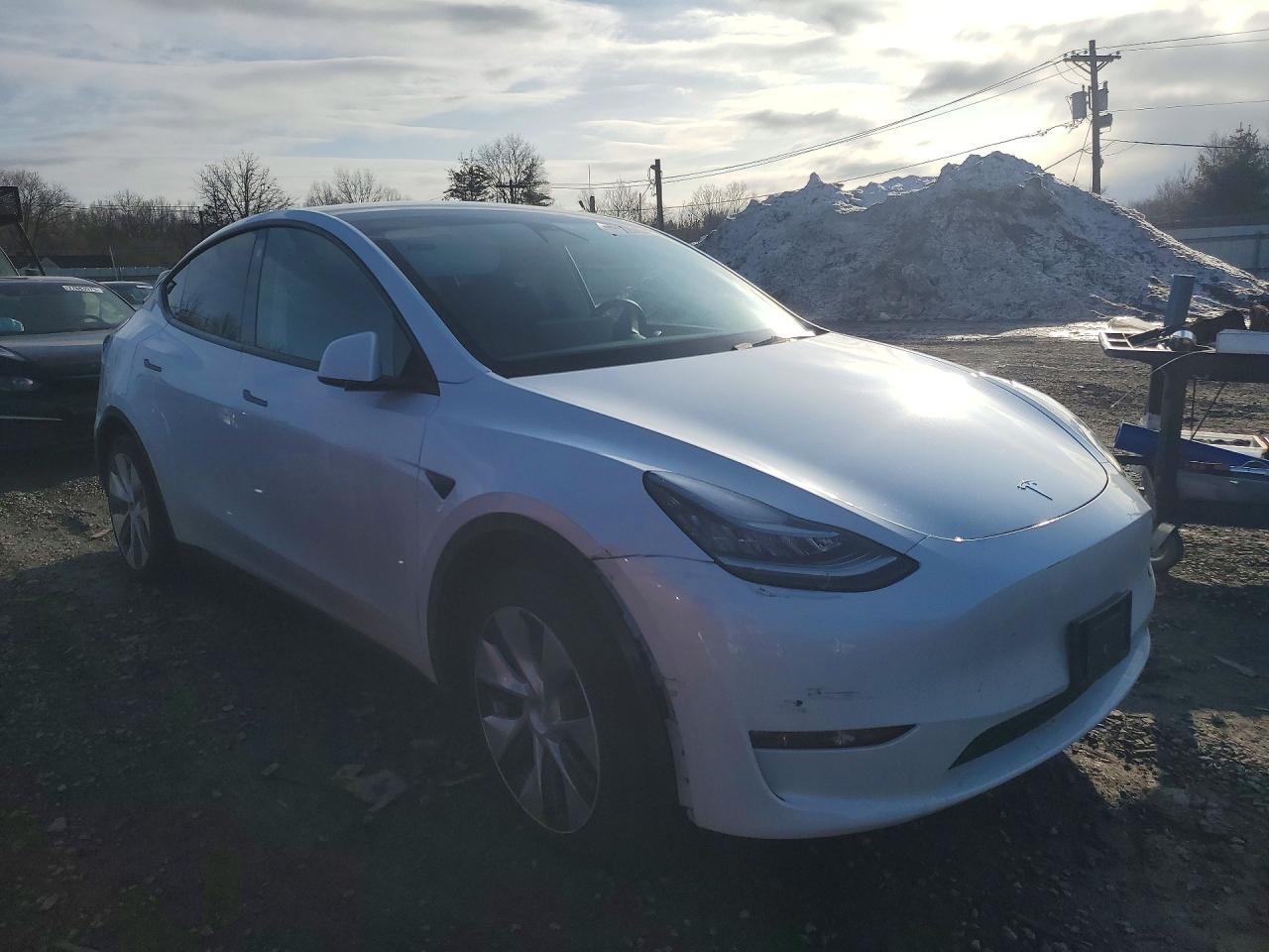 2021 TESLA MODEL Y