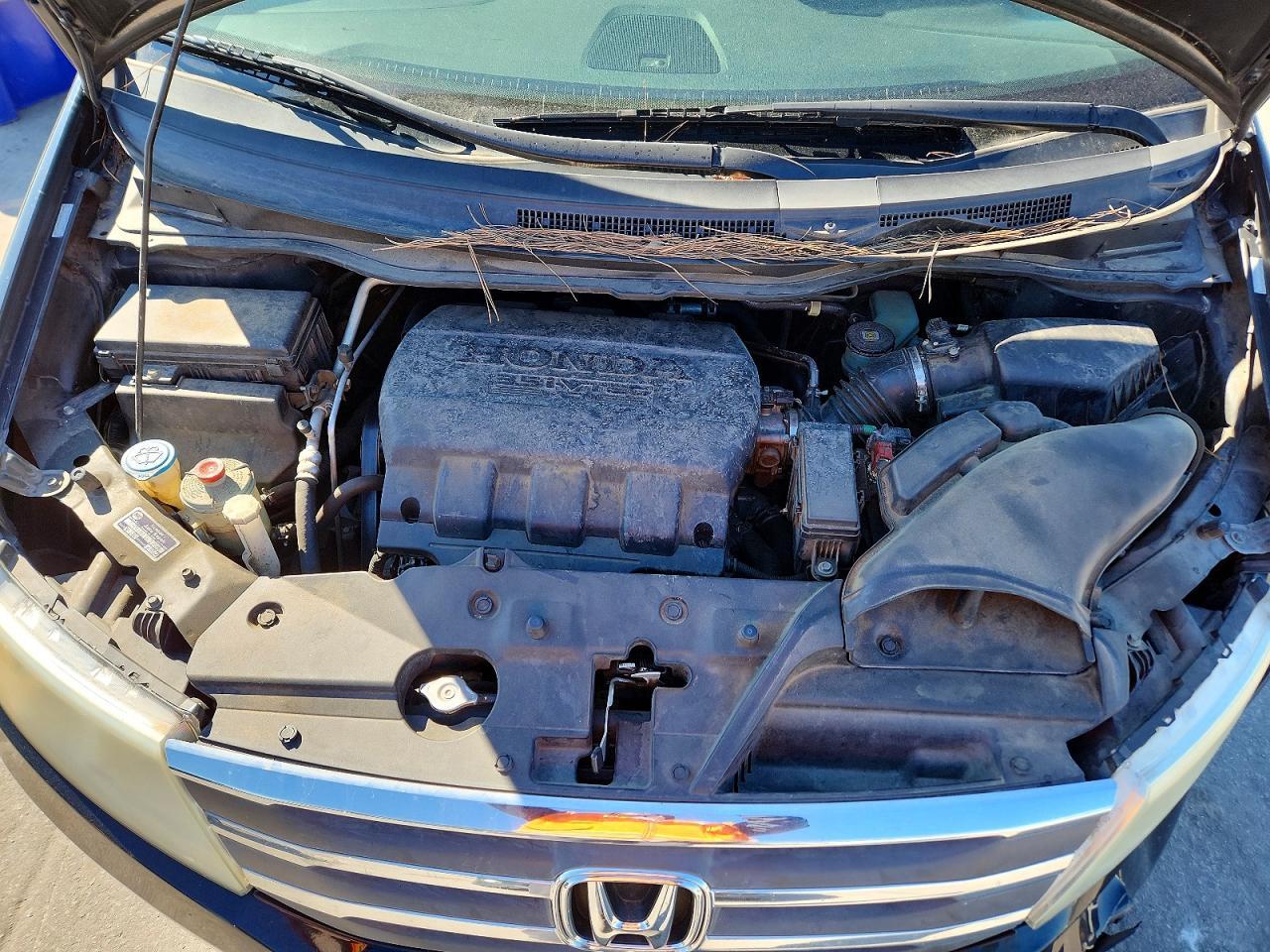 2011 HONDA ODYSSEY