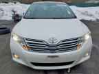 2010 TOYOTA VENZA