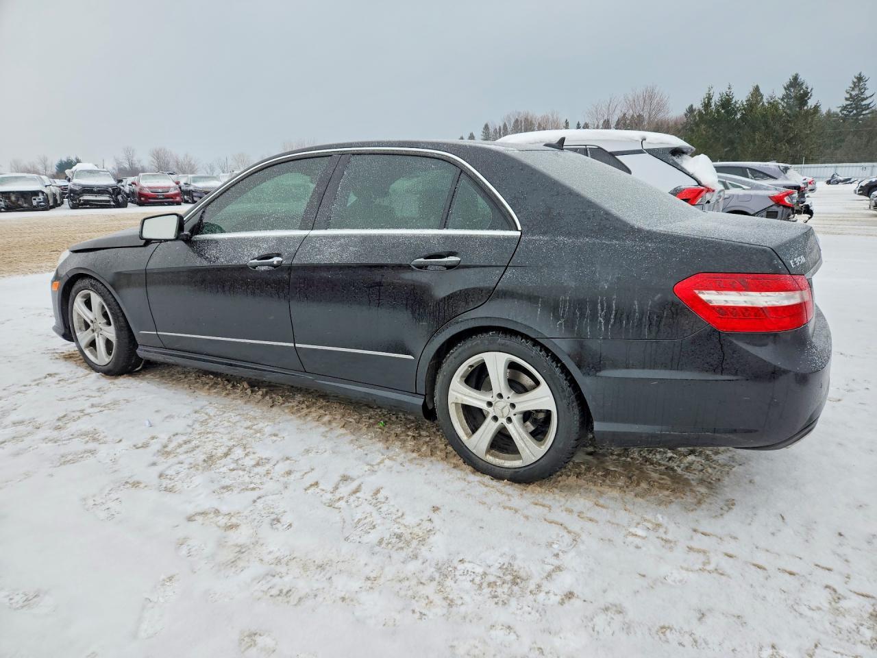 2010 MERCEDES-BENZ E-Class