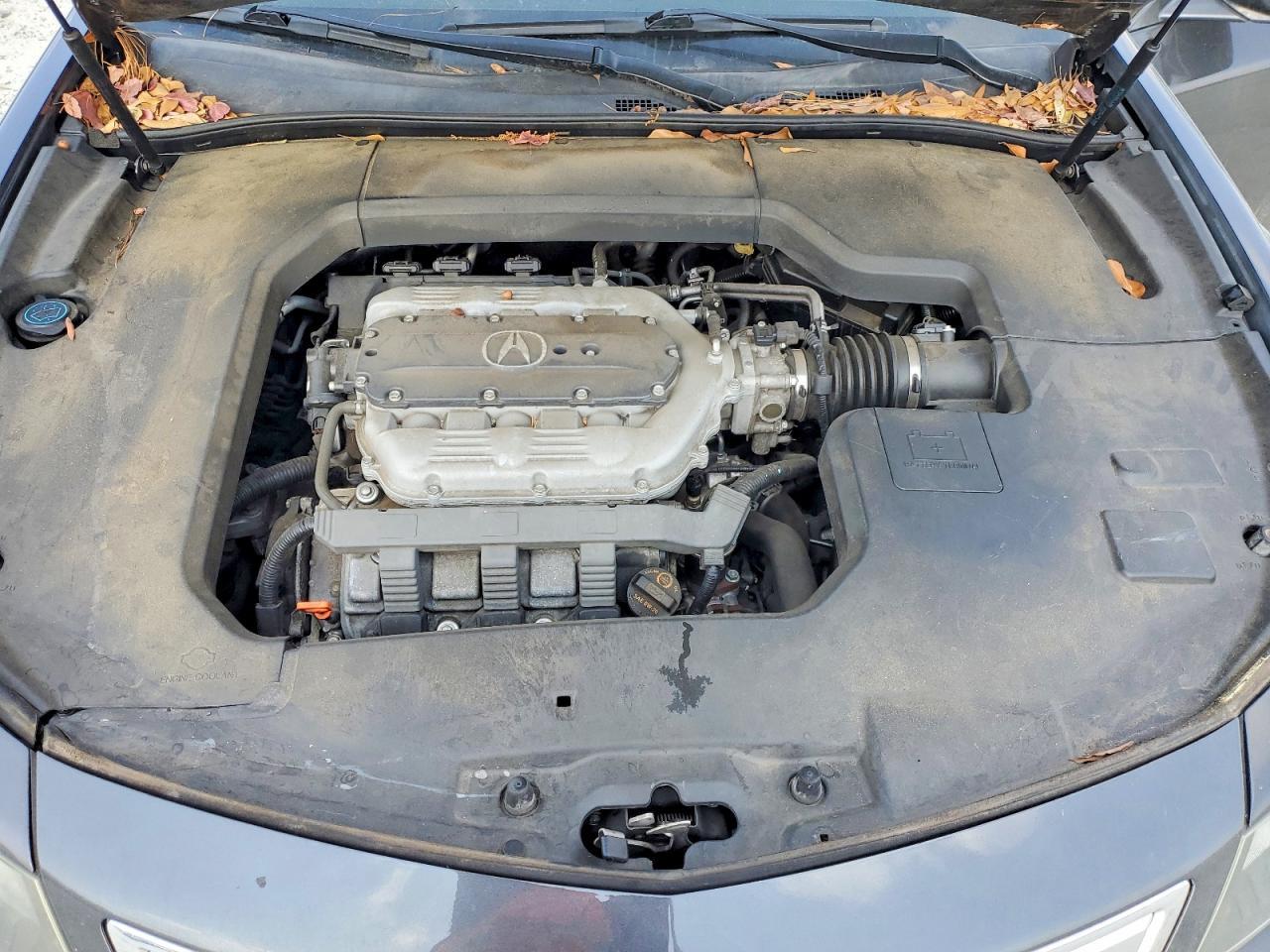 2013 ACURA TL