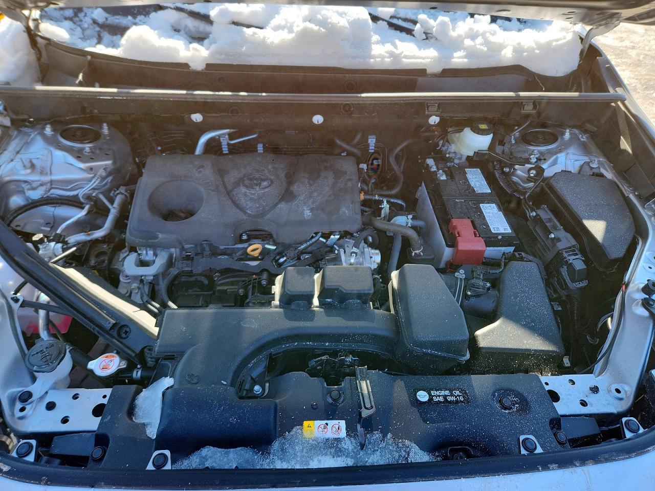 2025 TOYOTA RAV4