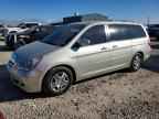 2005 HONDA ODYSSEY