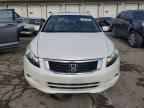 2010 HONDA ACCORD