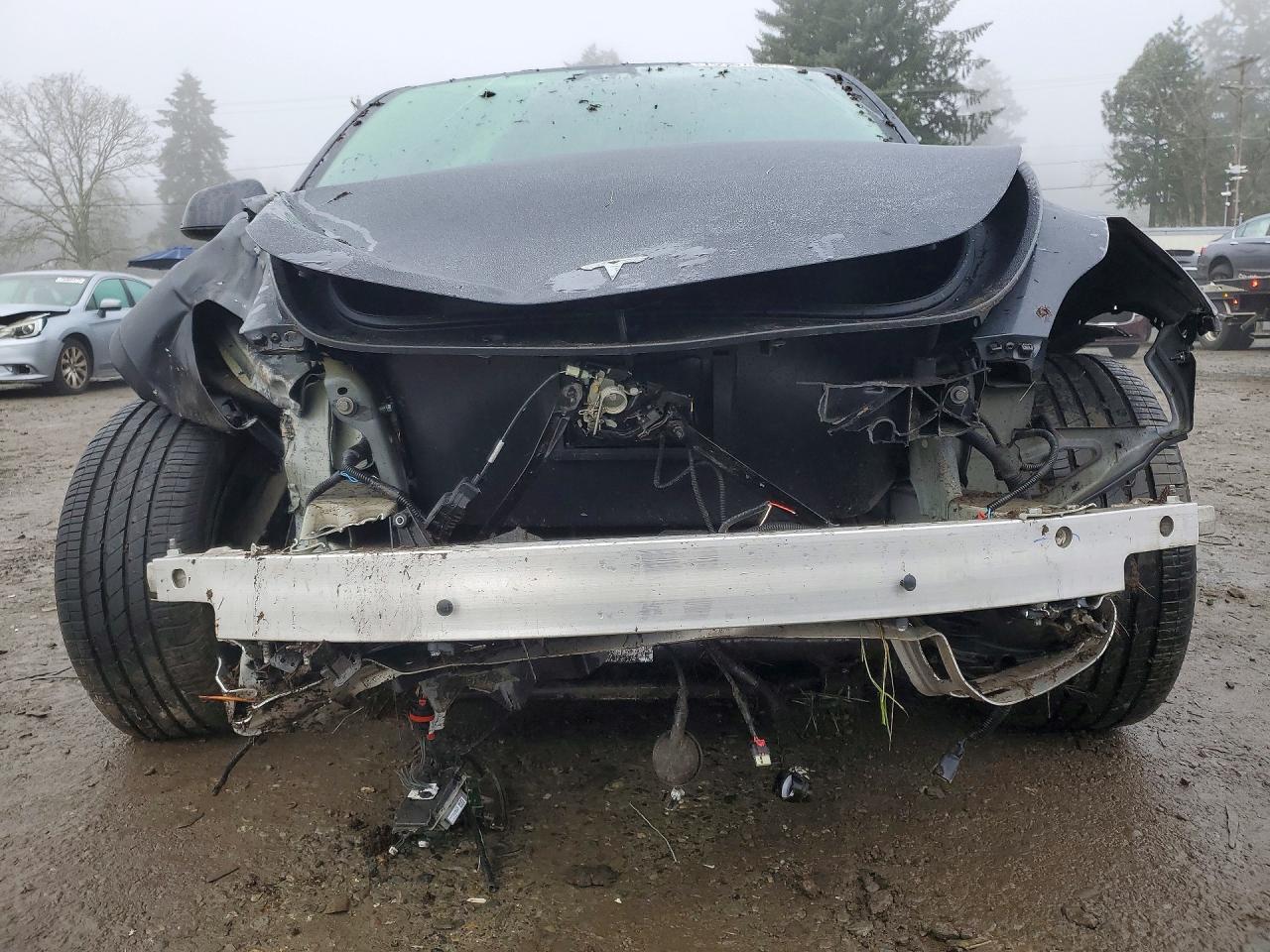 2025 TESLA MODEL Y