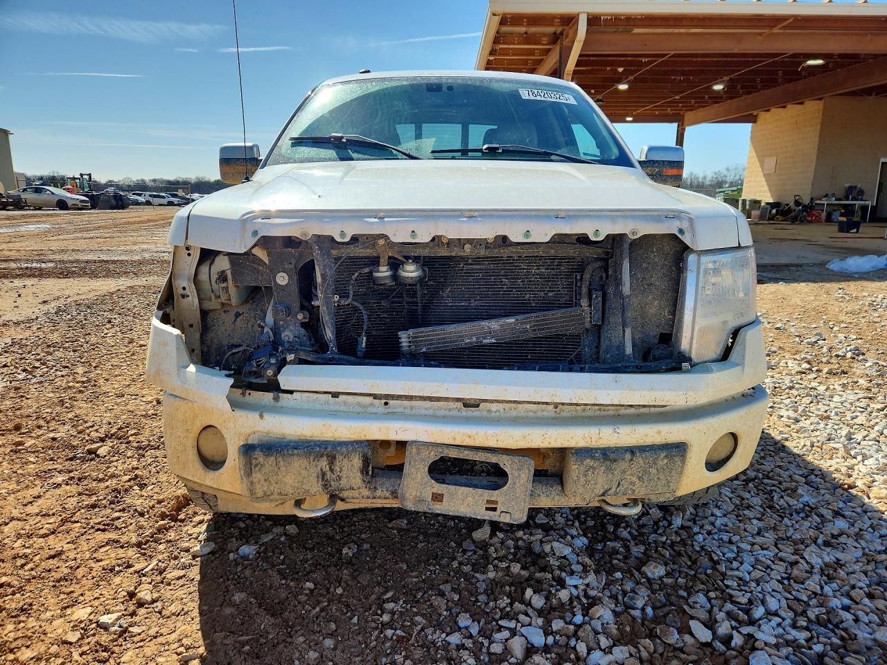 2010 FORD F-150 Lightning