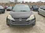 2010 HONDA CR-V