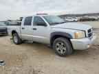 2005 DODGE Dakota