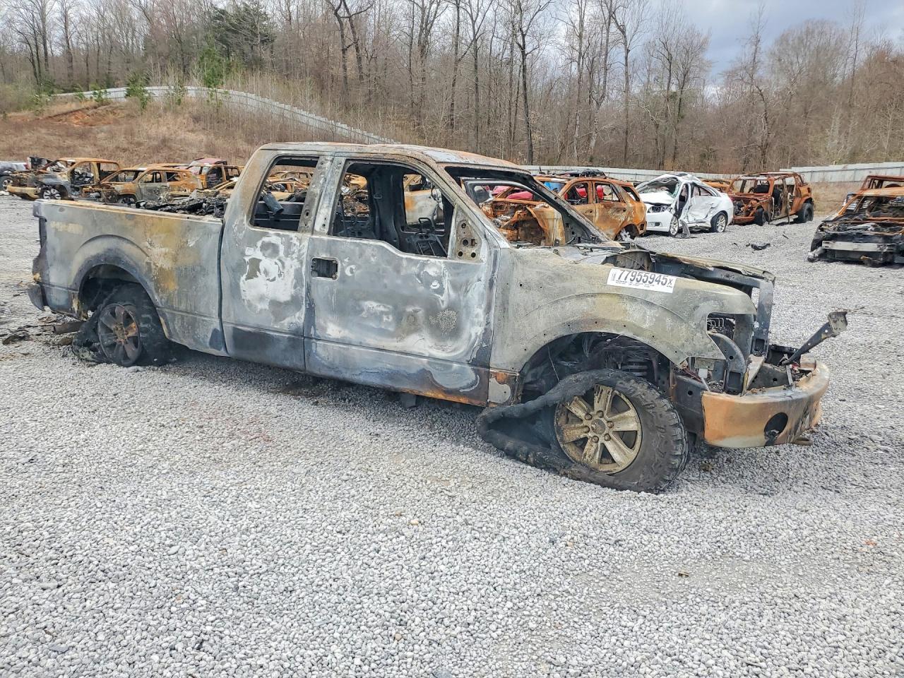 2013 FORD F-150