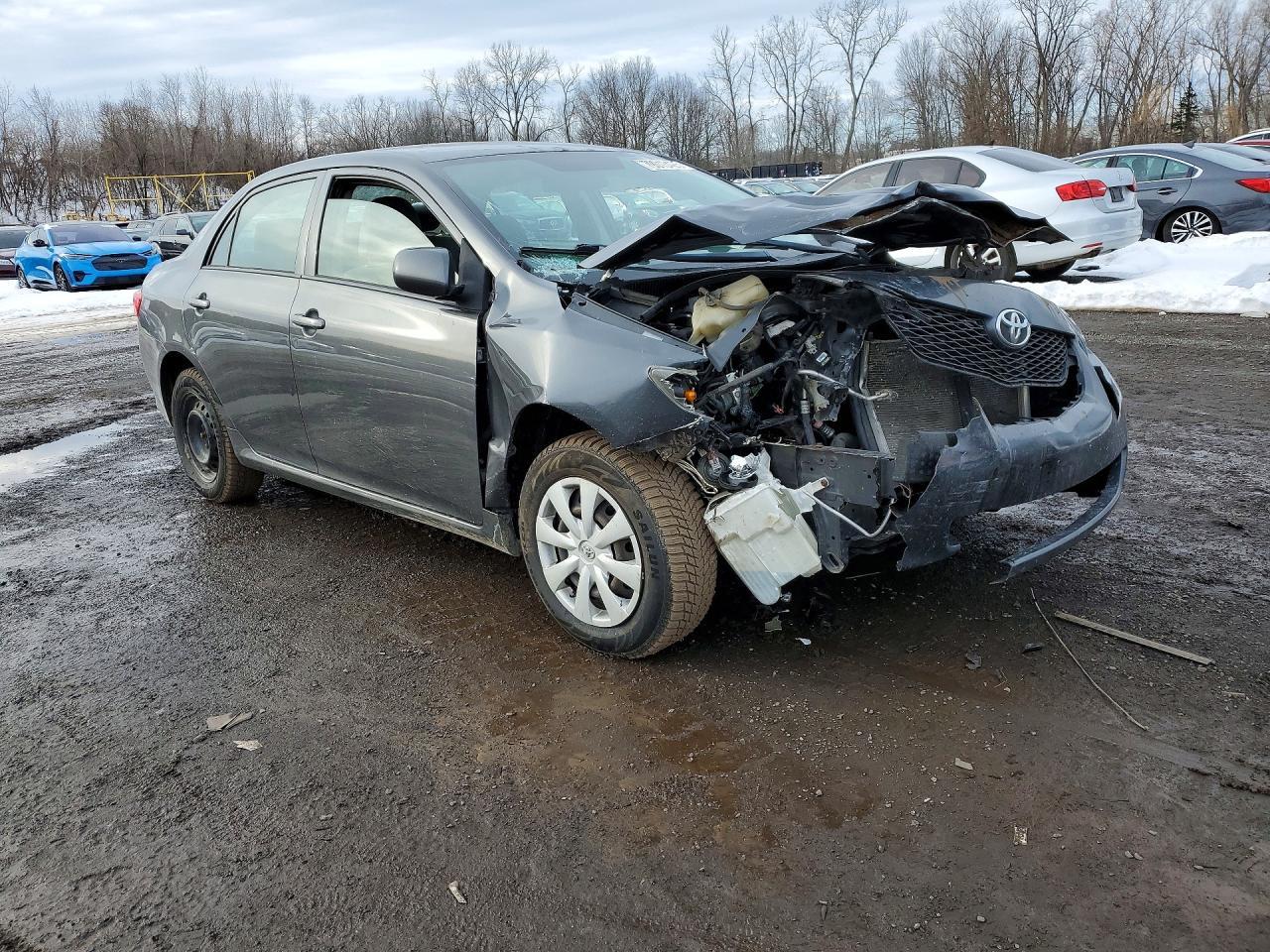 2010 TOYOTA COROLLA