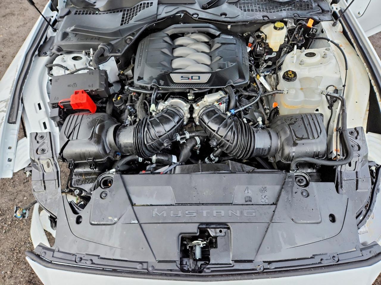 2026 FORD MUSTANG