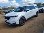 2024 KIA Carnival