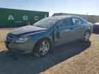 2009 CHEVROLET MALIBU