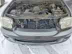 2005 TOYOTA Sequoia