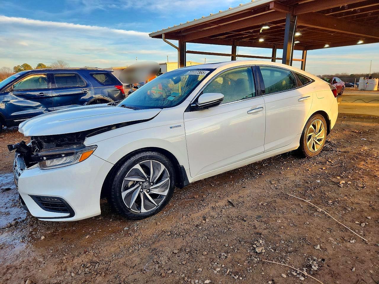 2019 HONDA Insight