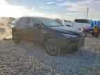 2025 LEXUS NX 250