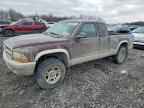 2004 DODGE Dakota