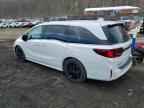 2025 HONDA ODYSSEY