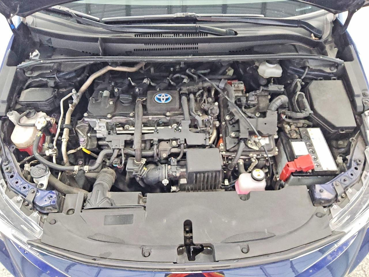 2023 TOYOTA COROLLA