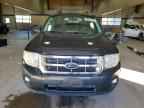 2009 FORD ESCAPE