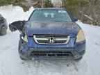 2004 HONDA CR-V