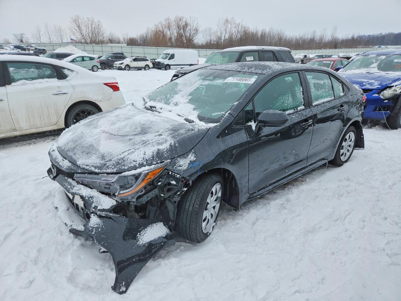 2025 TOYOTA COROLLA