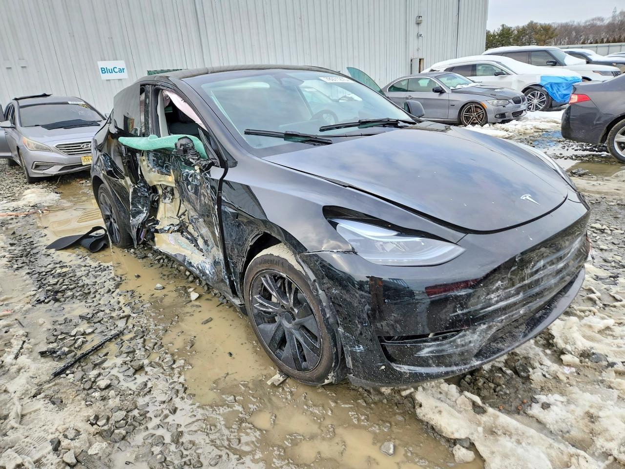 2025 TESLA MODEL Y