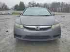 2010 HONDA CIVIC