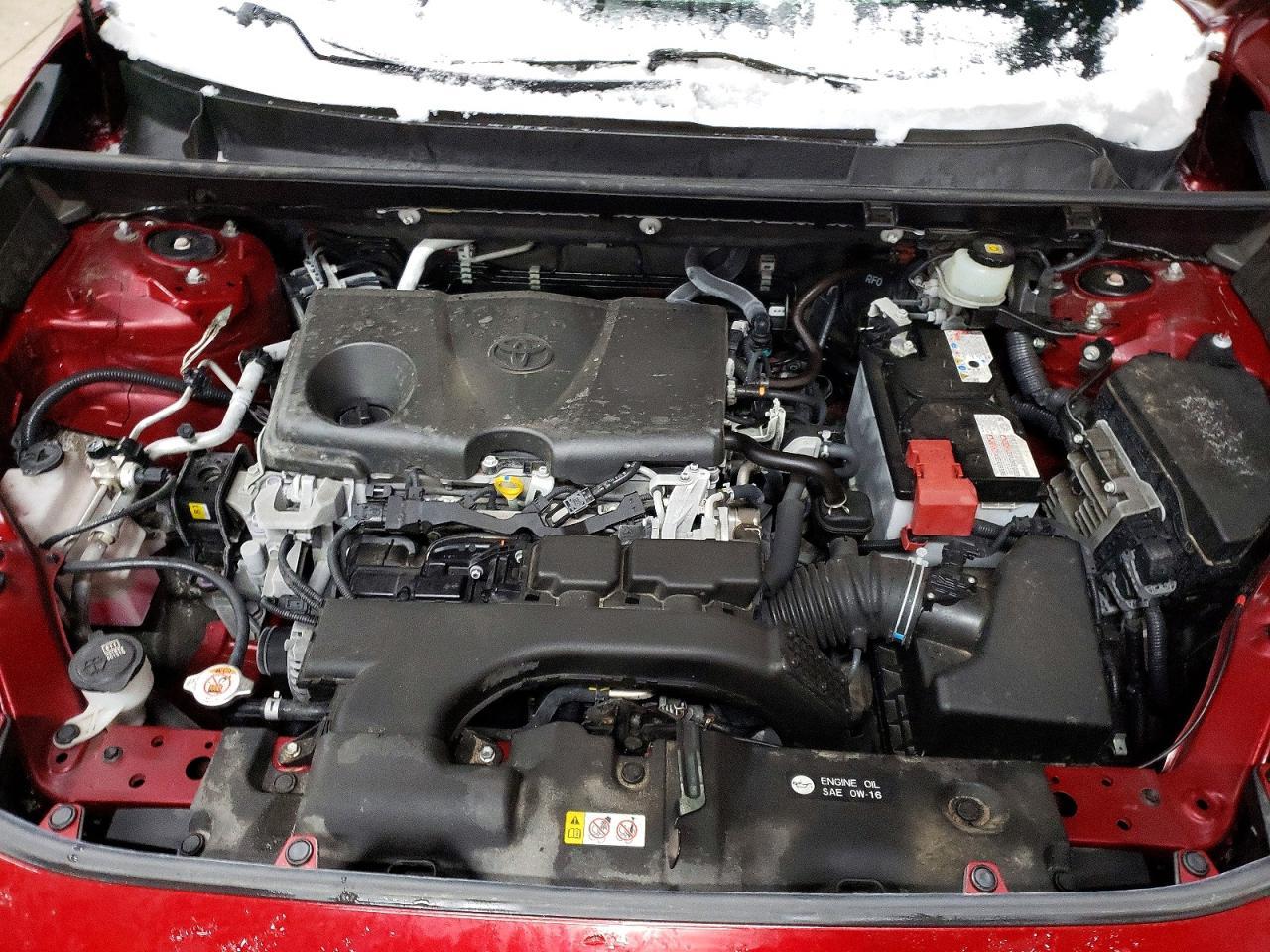 2019 TOYOTA RAV4
