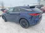 2025 LEXUS Rx