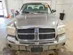 2005 DODGE Dakota
