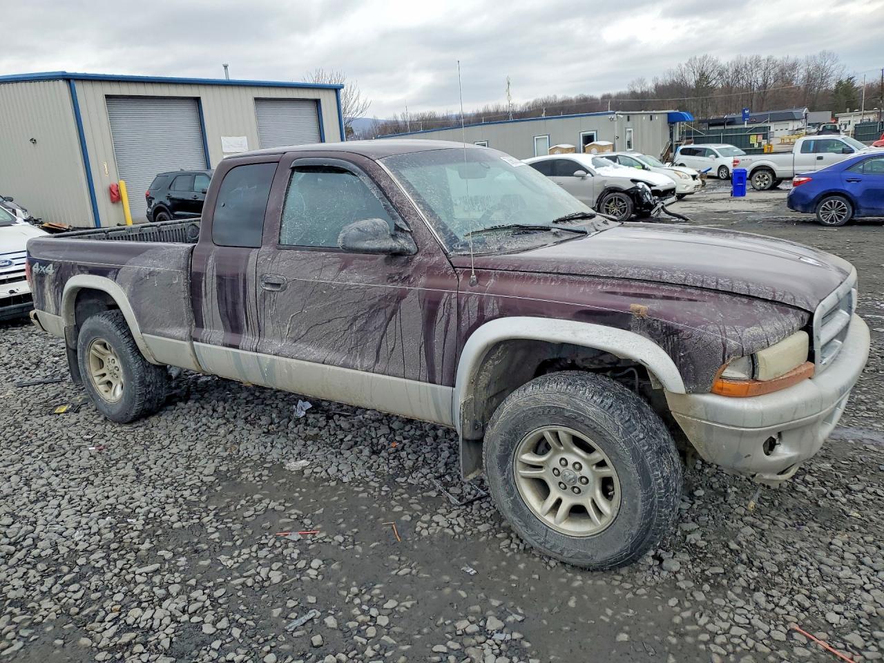 2004 DODGE Dakota